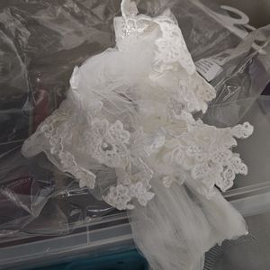 Ivory Colored Corded Lace Edge Fingertip Veil from David's Bridal